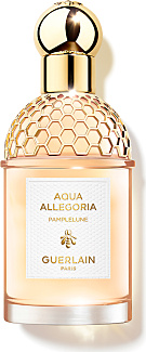 Aqua Allegoria Pamplelune