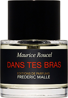 Dans Tes Bras