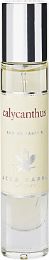 Calycanthus