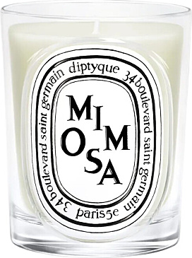 Mimosa Classic Candle