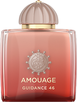 Guidance 46