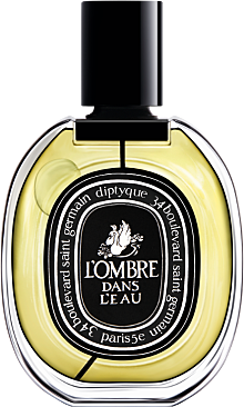 L'Ombre dans l'Eau 