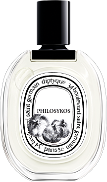 Philosykos