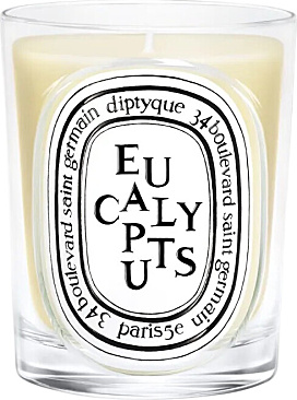 Eucalyptus Classic Candle