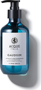 Gaudium - Body Wash