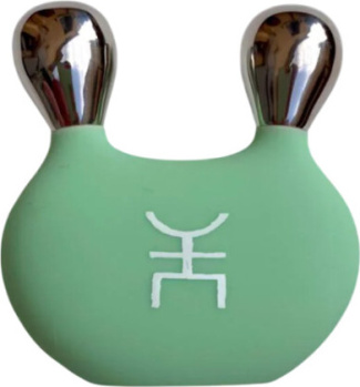 Facial Massager Tool