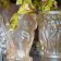Lalique (Наші партнери) - Статуетка Sculptures SITTING TIGER, LS 10550000L - 3
