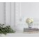 Lalique (Наші партнери) - Ваза Vase PIVOINES PM/SS 10708500l - 2