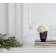 Lalique (Наші партнери) - Ваза Vase PIVOINES PM/SS 10708600L - 2