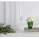 Lalique (Наші партнери) - Ваза Vase PIVOINES PM/SS 10708800l - 2