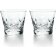 Baccarat (Наші партнери) - склянки для віскі Beluga Tumbler 2 2104387b - 1