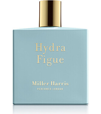 Hydra Figue