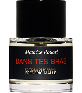 Dans Tes Bras