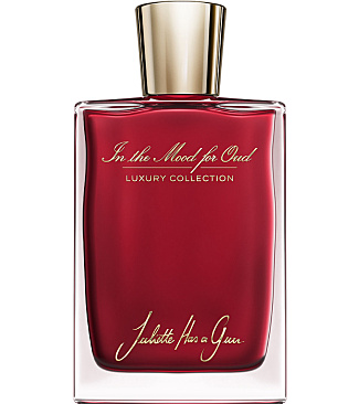 In The Mood for Oud