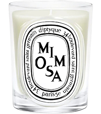 Mimosa Classic Candle