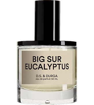 Big Sur Eucalyptus