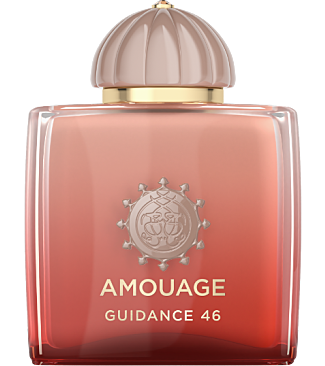 Guidance 46