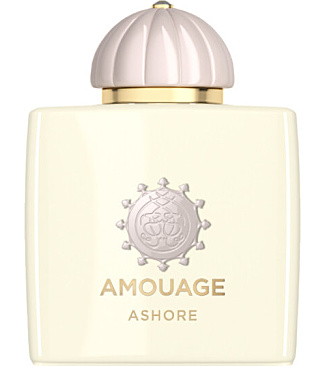 Ashore