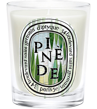 Pinède (Pine Grove) Classic Candle