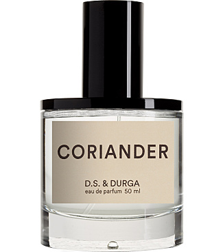 Coriander