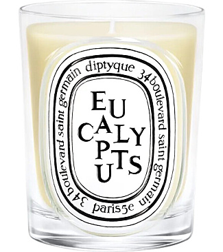 Eucalyptus Classic Candle