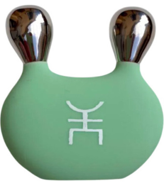 Facial Massager Tool