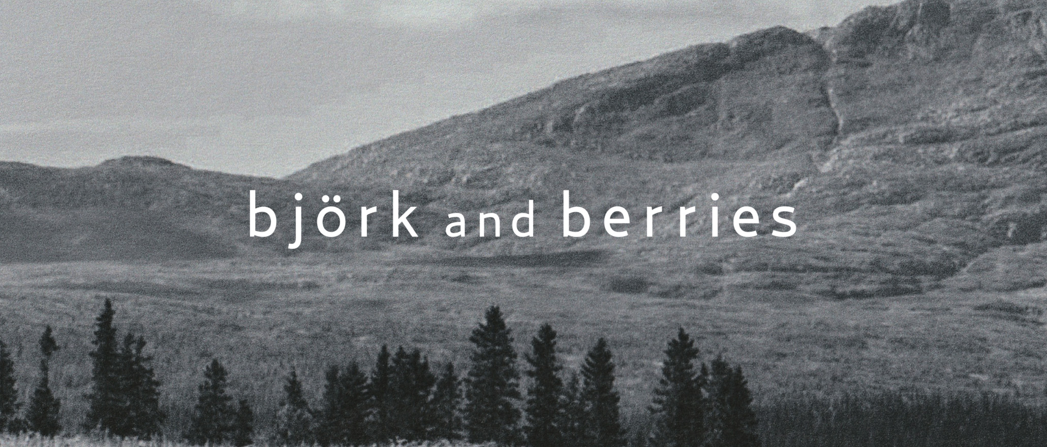 Бренд Bjork & Berries